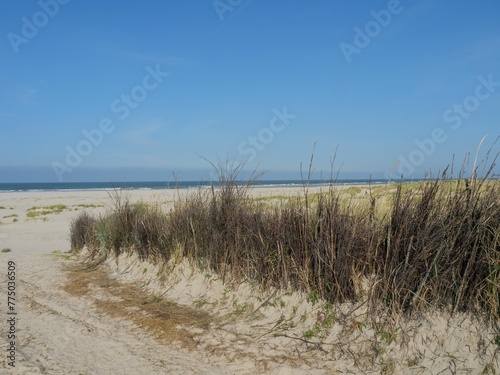 View of a white beach with green grass under the blue sky.