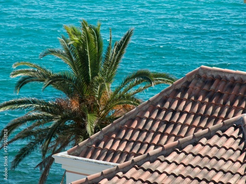 Palm and Mediterranean sea appearing behind a roof