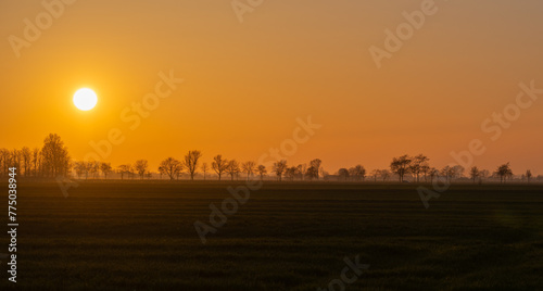 Obraz na płótnie Intensiver Sonnenuntergang durch Sahara Staub verursacht über Norddeutschland w salonie