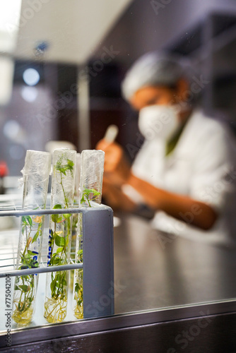 Plantas no laboratório e cientista de fundo