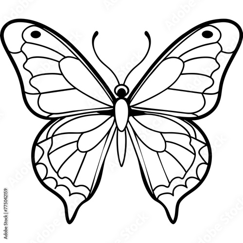 butterfly illustration