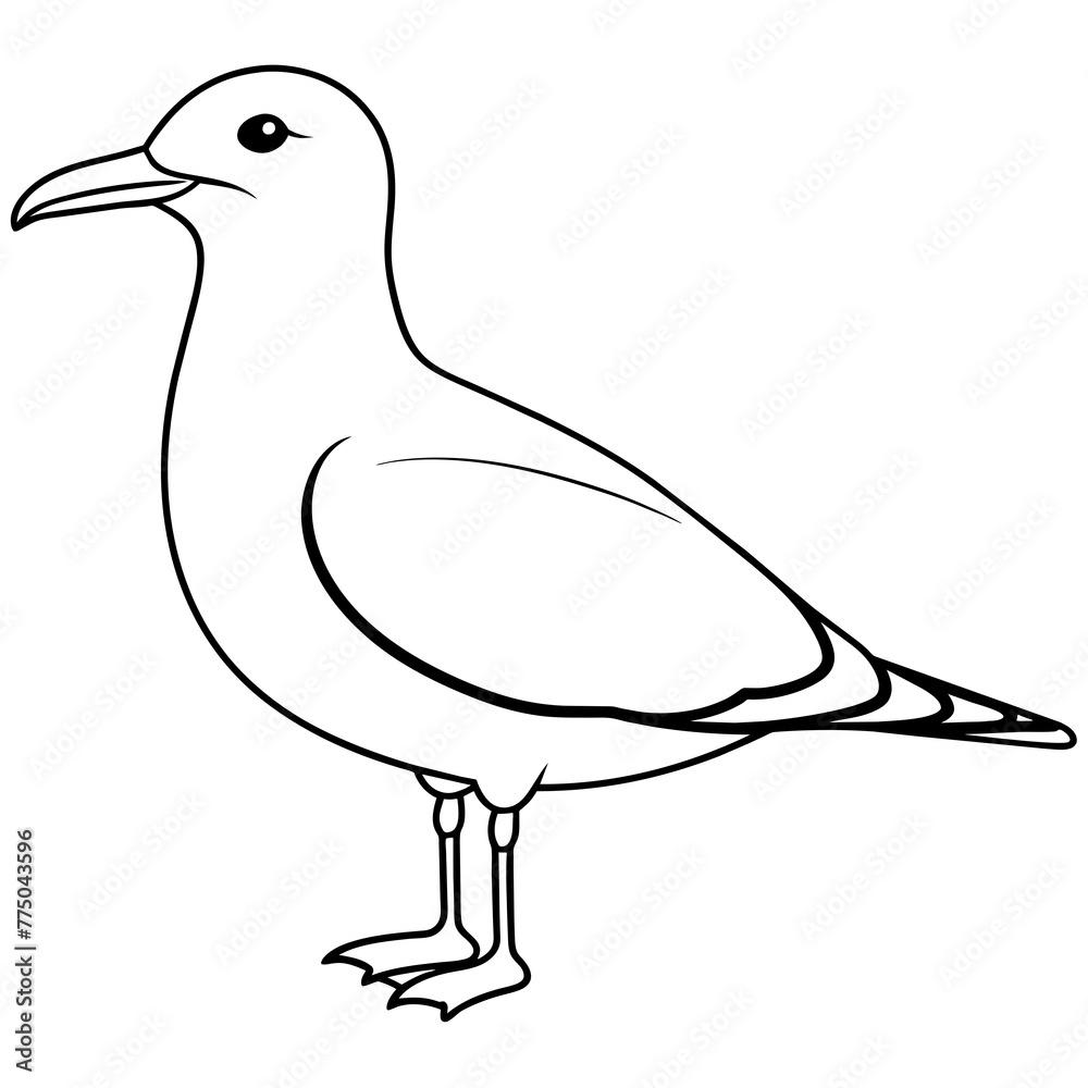 Obraz premium seagull