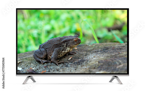 Smart tv with frog on screen wallpaper