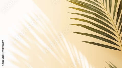 golden light, palm leaves shadow photo