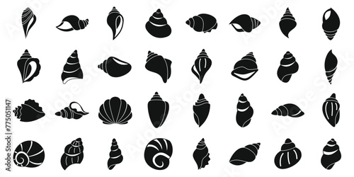 Conch icons set simple vector. Sea shell. Snail nature animal photo
