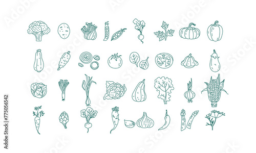 Vector set of outline icons of vegetables. Healthly food. Vector illustration
