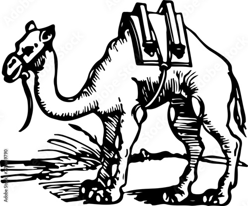 A vintage woodcut of a laden camel, capturing the essence of historic travel and trade routes.