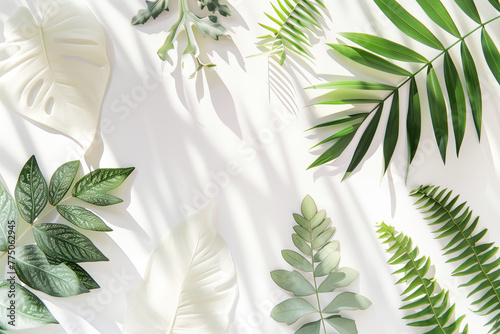 A collection of green leaves spread out randomly on a plain white background biophilic design elements copy space