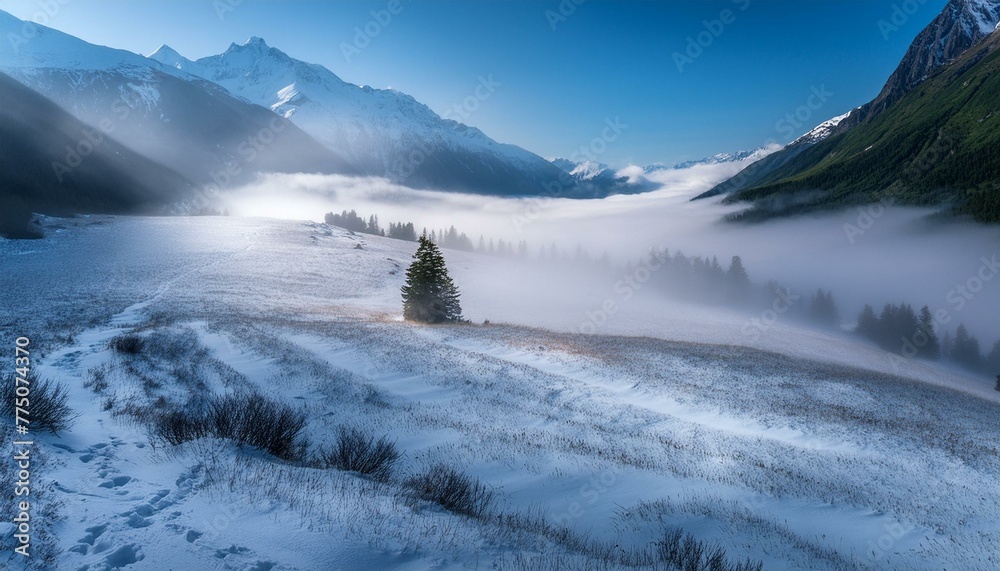 mountain meadow