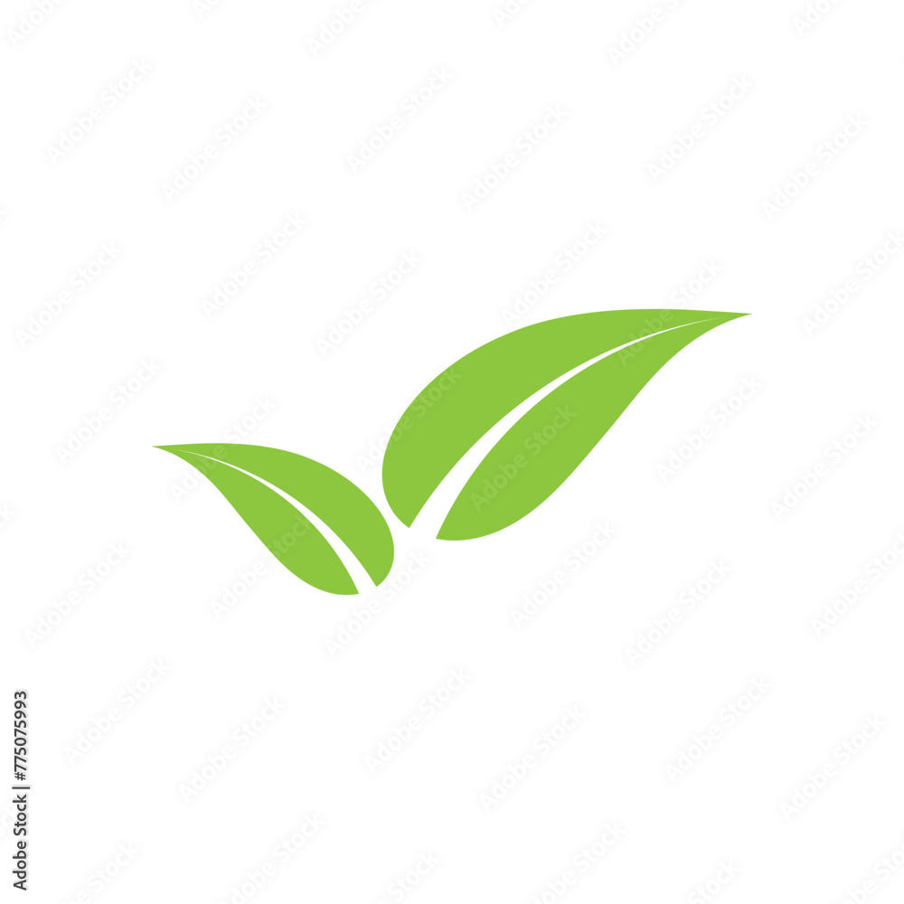 green leaf isolated on white background