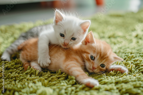 White kitten laying down on orange tabby cat on green rug photo