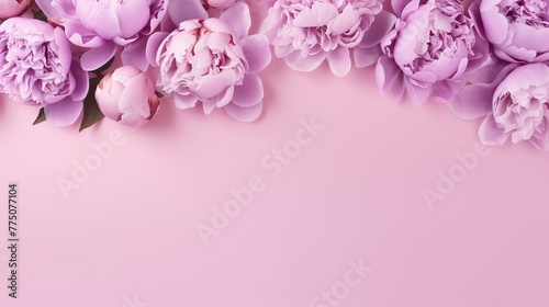 Festive bouquet of delicate peonies in pastel colors. Background for a holiday card or invitation. Blooming spring banner - lilac peonies  top view