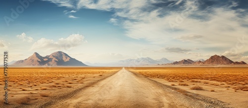 A dirt road cutting through a vast desert landscape, with majestic mountains in the distance under a clear blue sky