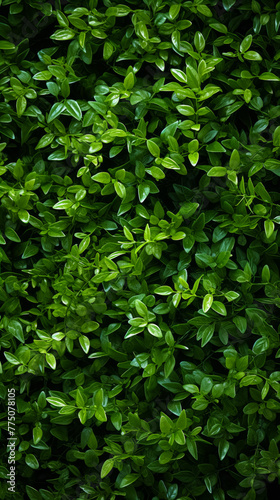 a green hedge with small plants on it, in the style of decorative backgrounds, high-angle, high resolution © Tatiana