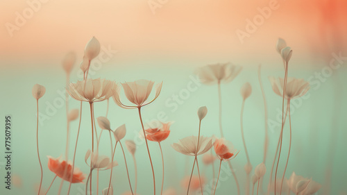 Flowers in a field © Victoria Andrievska