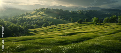 Foothills in the backlit evening light. Rays of the sun over mountain meadows