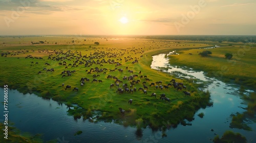 An aerial view of a vast savanna with herds of animals grazing on the grasslands