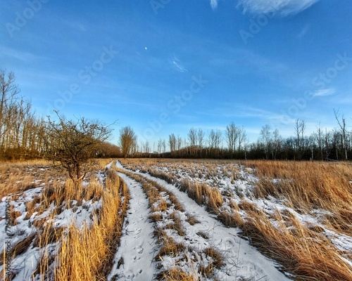 Winterly meadow in Germany with road and blue sky