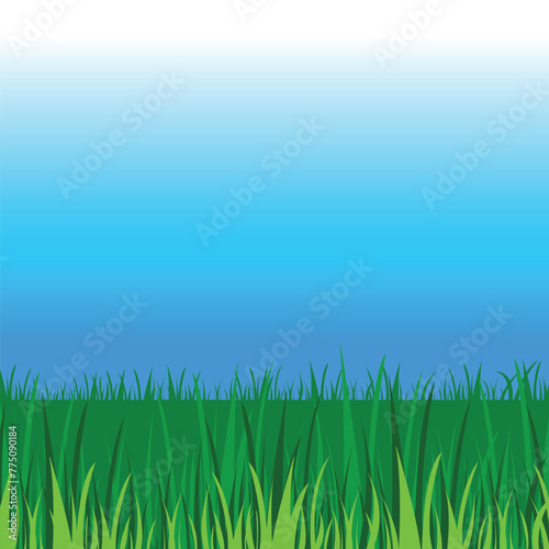 Empty blue sky and tall green grasses copy spaced vector illustration background isolated on square template.