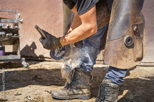 The farrier presses the hot horseshoe against the horse's hoof to take its shape for a precise fit. Smoke is produced during the burning of the hoof. Sunny day.
