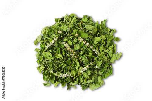  heap of dry mint leaves or mentha piperita citrata herb also in india known as fudina for chutney,pani puri,masala tea,herbal chai,jal jira,ayurvedic medicine,cutout transparent background,png format