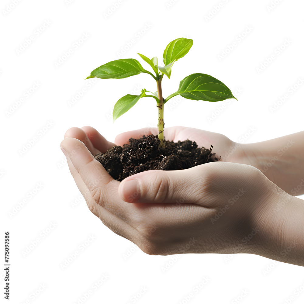 Earth Day Initiative: Hands Holding a Plant Seedling, Emphasizing Tree Planting and Protection, Isolated on Transparent Background, PNG Earth Day Initiative: Hands Holding a Plant Seedling, Emphasizing Tree Planting and Protection, Isolated on Transparent Background, PNG