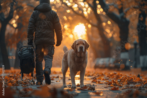 A loyal service dog assisting its owner with mobility challenges, providing invaluable aid and companionship. Concept of independence and assistance. Generative Ai. photo