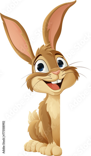 Easter Bunny Rabbit Peeking...