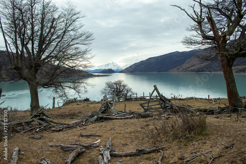 Desafíos Naturales: Explorando la Resiliencia de la Patagonia 