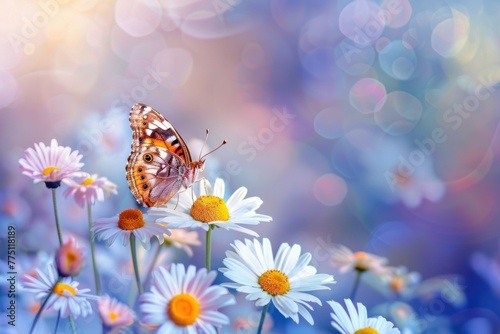 A butterfly alighting on a vibrant cluster of daisies