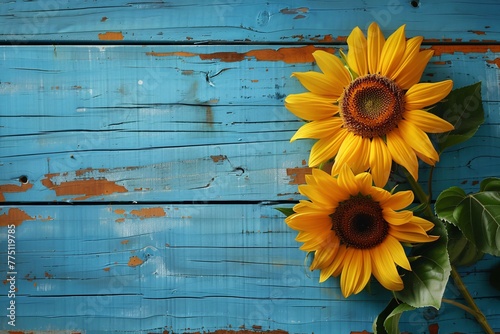 two sunflowers on a blue wood surface