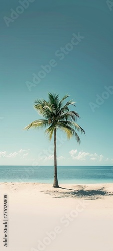 A minimalist sandy beach with a single palm tree  providing a serene setting for summer-themed designs with plenty of space for text