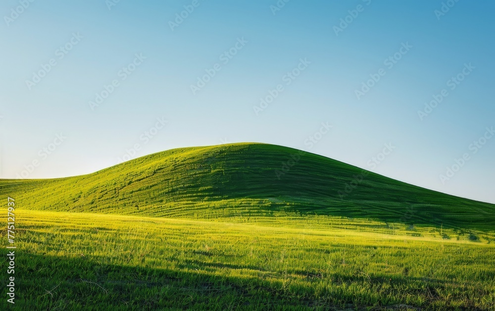 A vibrant green hill under a clear sky, providing a simple and fresh summer backdrop with plenty of space for content
