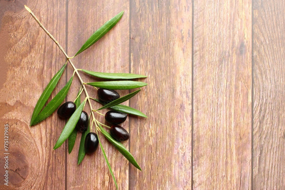 Black olives branch on wooden background photo top view copy space Black olives branch on wooden background photo top view copy space