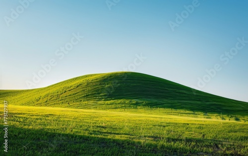 A vibrant green hill under a clear sky  providing a simple and fresh summer backdrop with plenty of space for content