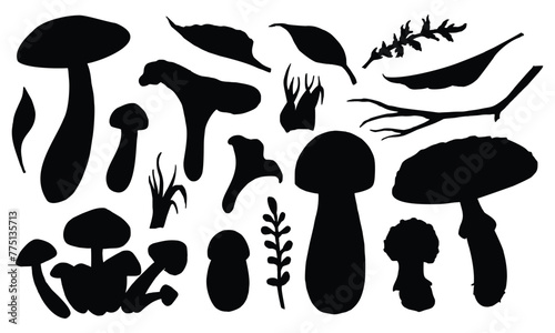 Mushrooms Silhouette vector set. Hand drawn illustration of fungus in black color. Drawing of boletus, fly agaric and forest leaves. Sketch of woodland porcini and champignons group.