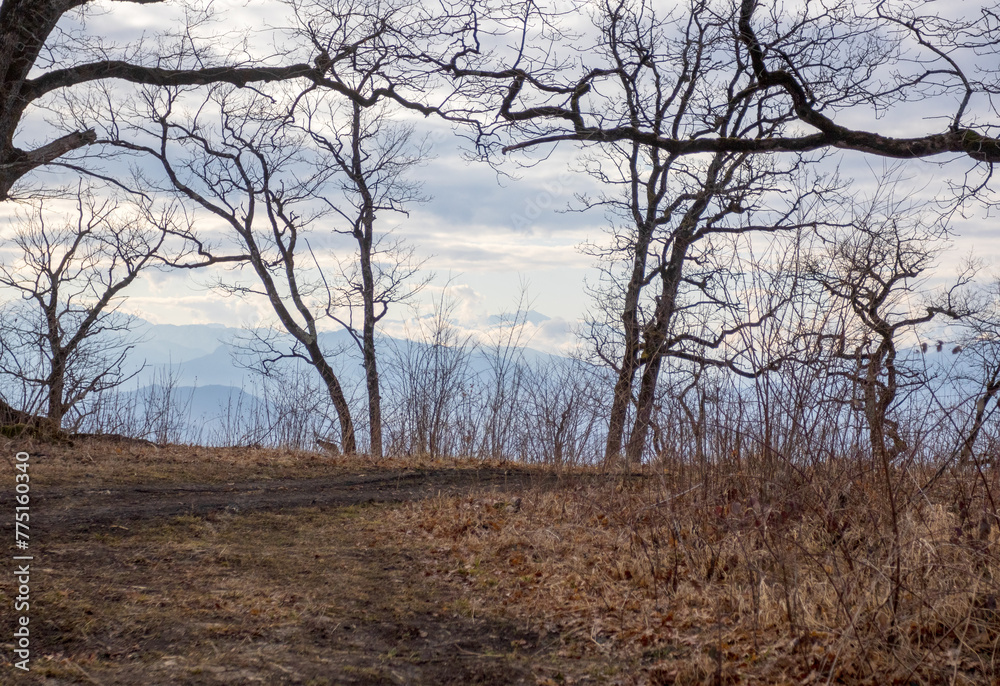 morning in the nature park, awakening of nature, mountainous terrain panorama and dirt roads morning in the nature park, awakening of nature, mountainous terrain panorama and dirt roads