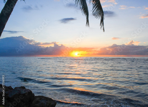 View of Palm Trees and the ocean at sunrise, Coconut Bay, St. Lucia