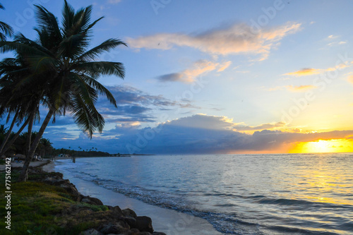 View of Palm Trees and the ocean at sunrise, Coconut Bay, St. Lucia
