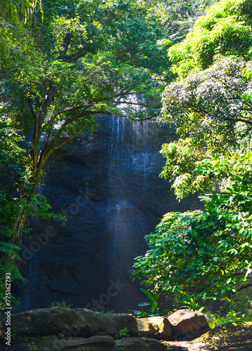 A small waterfall in the rainforest, St. Lucia
