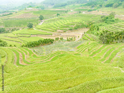 Beautiful scenery of Yahu Rice Terraces in Wuzhishan, Hainan, China © hu