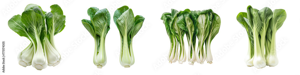 Collection of Bok choy vegetable as food ingridient cutout png transparent background
Collection of Bok choy vegetable as food ingridient cutout png transparent background