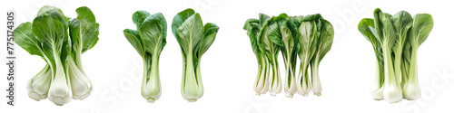 Collection of Bok choy vegetable as food ingridient cutout png transparent background
 photo