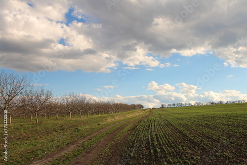 A dirt road with grass and trees on either side of it