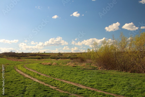 A dirt road with trees on either side of it