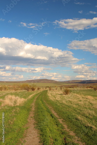 A dirt road through a field