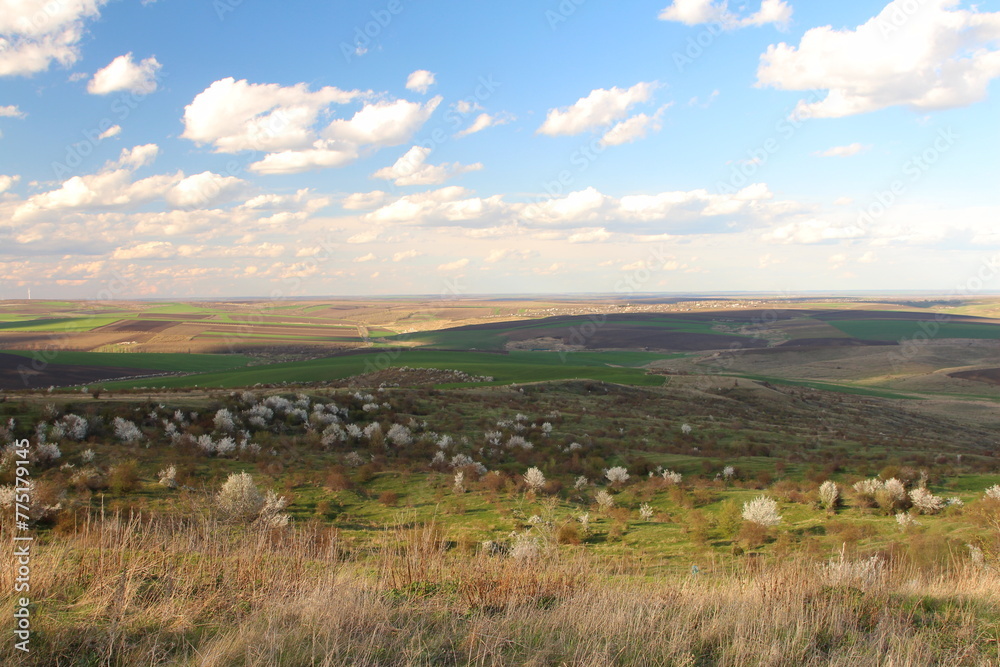 A grassy field with rocks and a blue sky