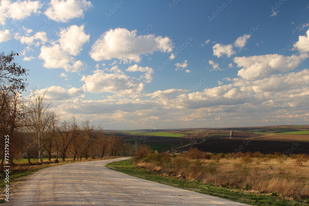 Fototapeta premium A road with trees and grass on either side of it