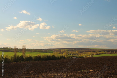 A landscape with trees and a blue sky