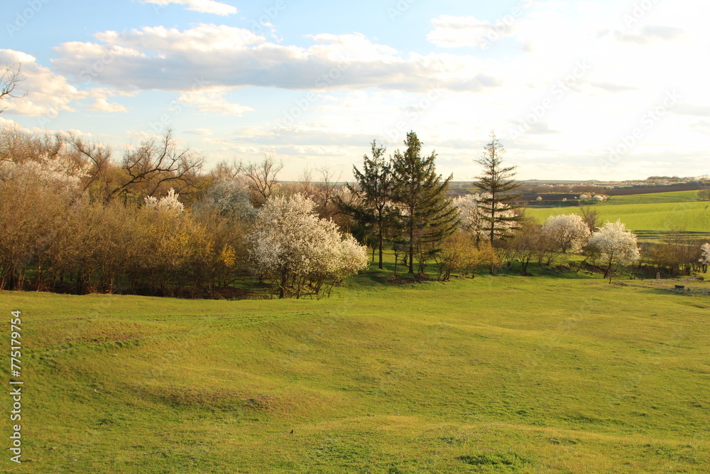 A grassy field with trees and hills in the background